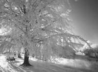 winter_2